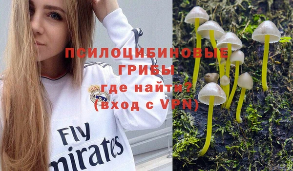 дмт Белоозёрский